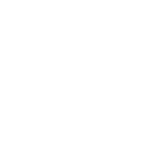 aceapp-white